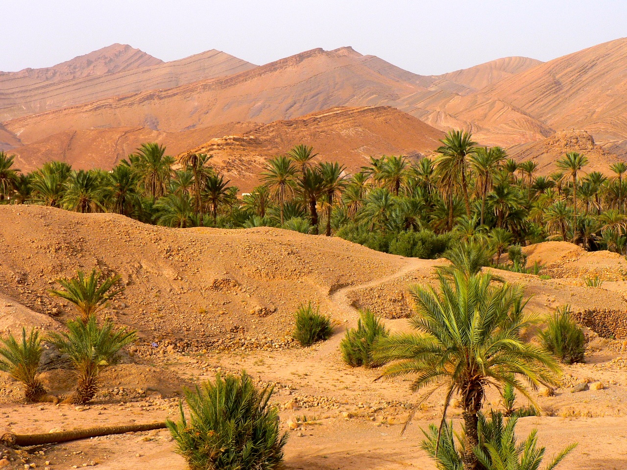 Montagnes du Maroc, au cœur de paysages somptueux. 7