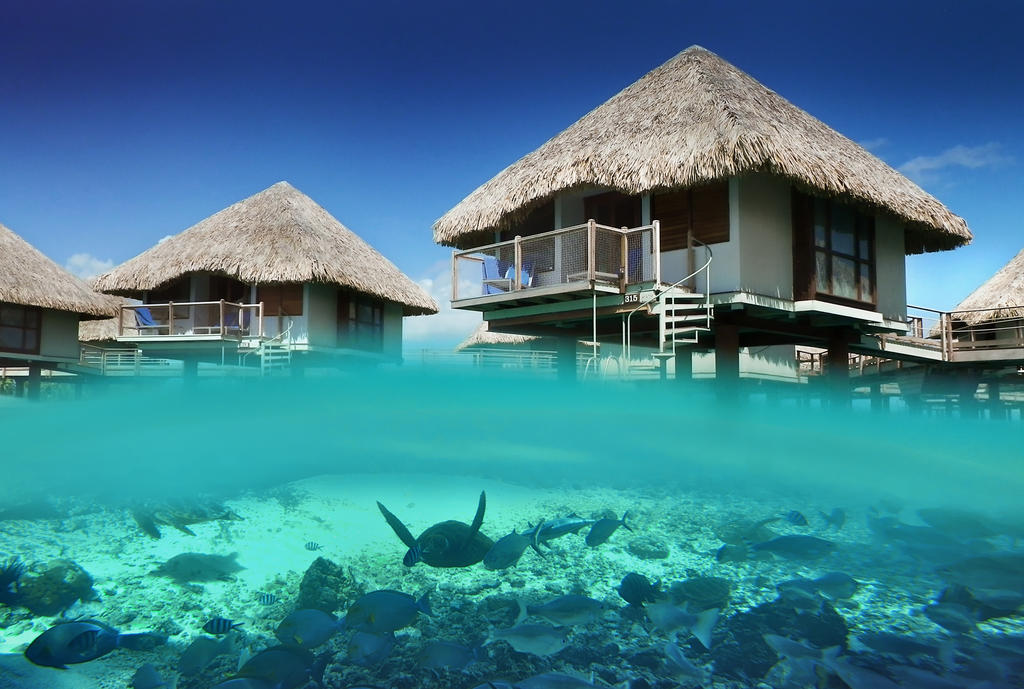 Bora Bora l´une des plus célèbres destinations de rêve du monde 6