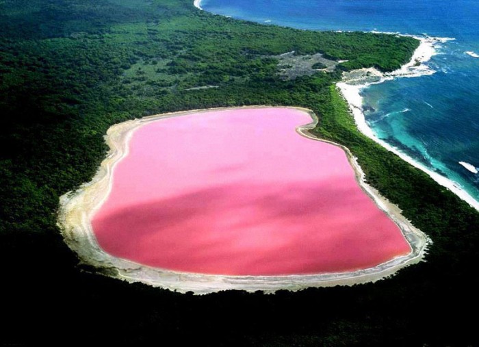 le lac rose, une merveille australienne inexpliquée  1