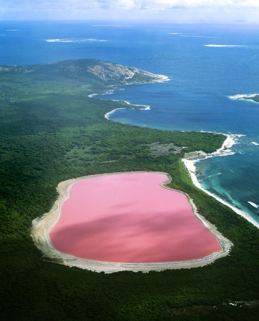 le lac rose, une merveille australienne inexpliquée  2