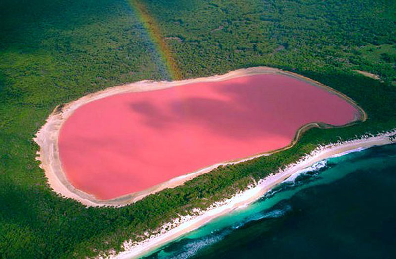 le lac rose, une merveille australienne inexpliquée  3