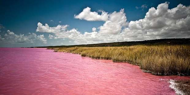 le lac rose, une merveille australienne inexpliquée  4
