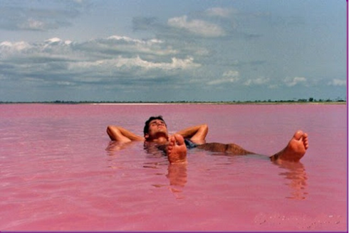 le lac rose, une merveille australienne inexpliquée  5
