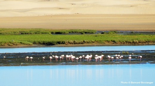  la lagune Naila dans le sud Marocain le paradis des pêcheurs 5