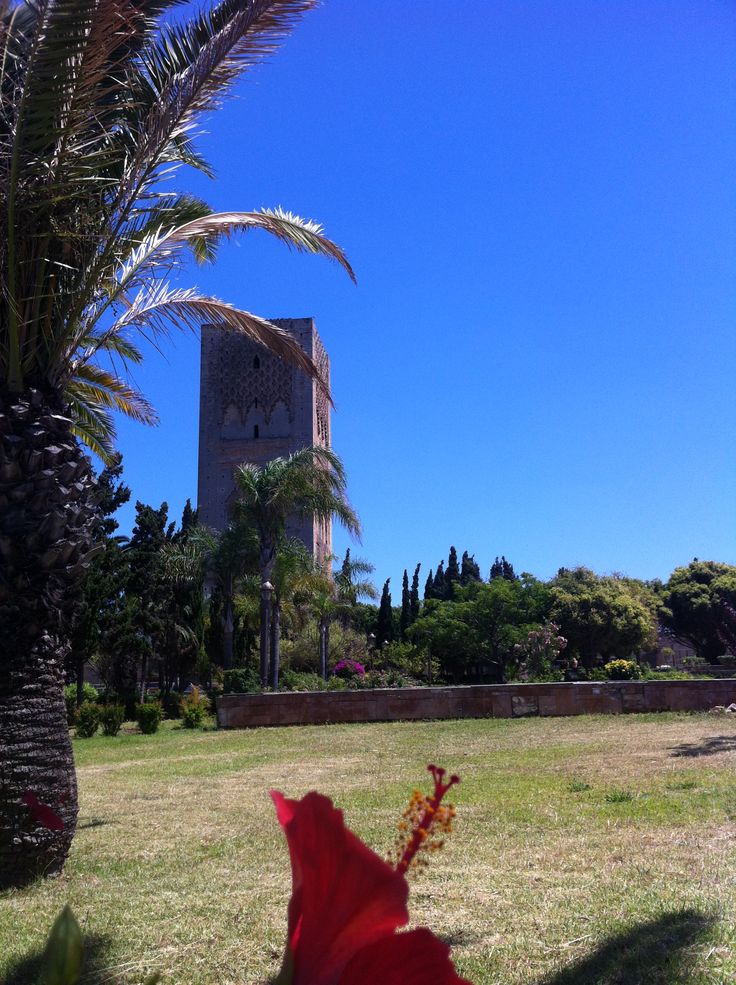 la tour hassan un symbole historique marocain 9
