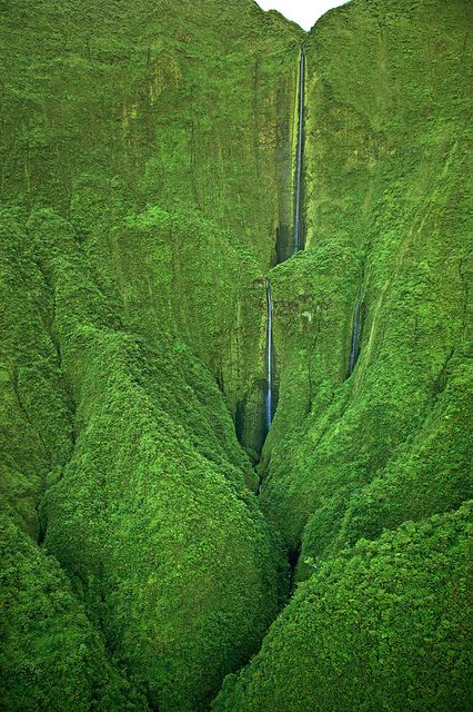 Un voyage a Maui 2